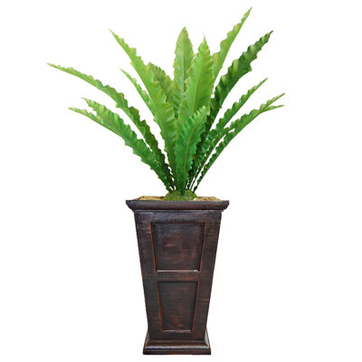 Plante grasse artificielle en pot Faning Aaru