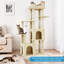 156cm H Cat Tree-134284508