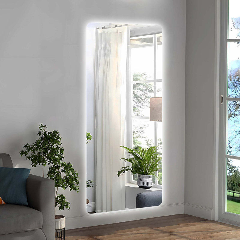 65x21in Full Body Mirror with Lights Full length mirror wall hanging type
