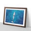Dolphin Leading the Way - Picture Frame Graphic Art Print-56713377-56713382