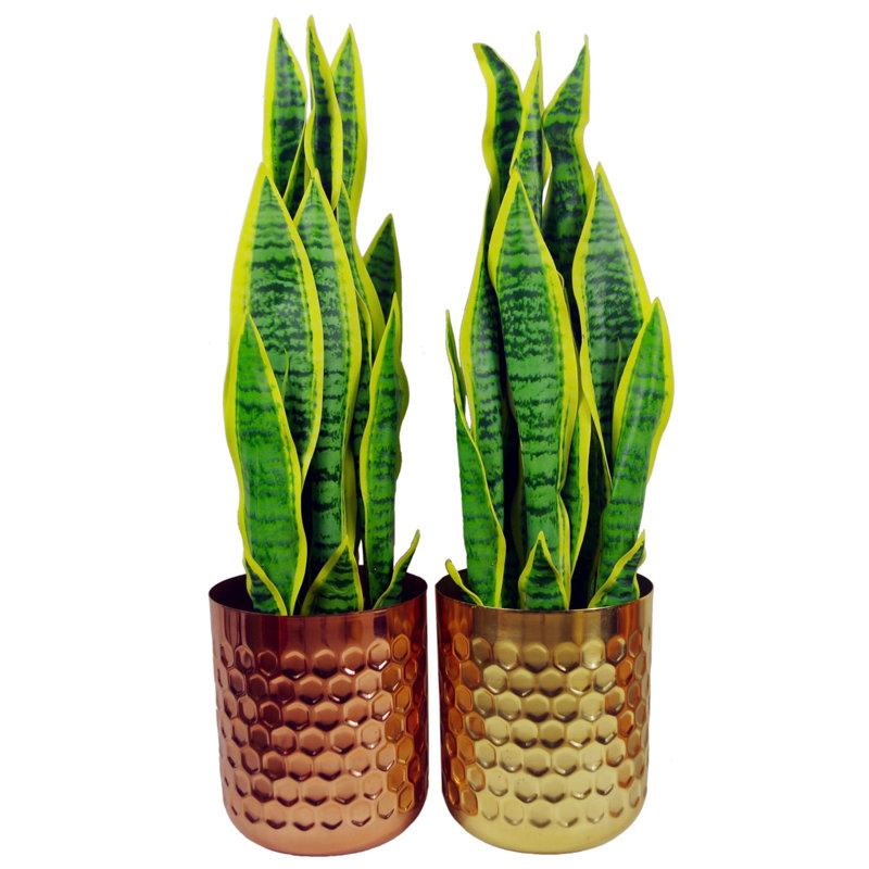 Concepcion Handmade Metal Cachepot, Gold