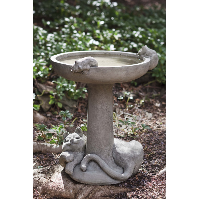 Cat Nap Birdbath, English Moss