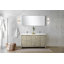 Lafarre 60 in W x 20 in D Double Bath Vanity and Top-1016465251-1016465255
