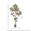 Arbre en bambou zen en pot 6 pi X1065 Kd