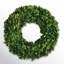 Alby Preserved Boxwood Real Greenery Wreath-233478299