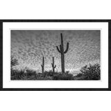 Three Cacti Print by Christopher Kennedy