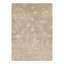Oriental Area Rug in Brown