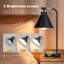 Lampe de bureau Gabouray