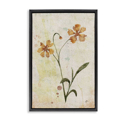 «Ceropsis Flower Sprig» par Lydia Orange