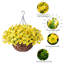 Panier à fleurs artificiel suspendu Eucalyptus-130022306