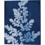 Ensemble de 4 impressions sur toile Enan