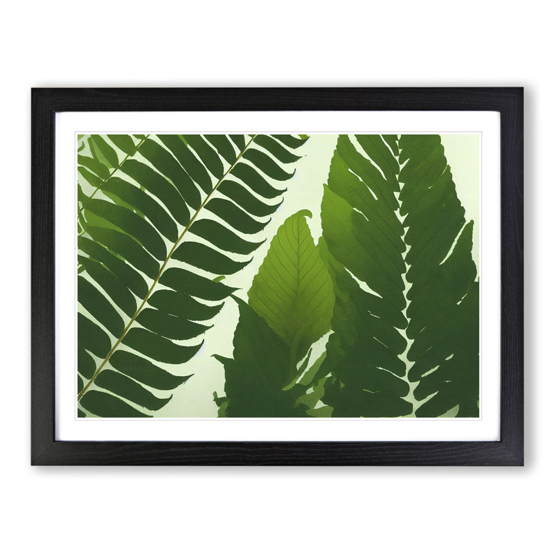 Contoured Fern Leaf - Framed Print, Black, 46cm H x 64cm W x 2cm D