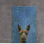 What up Llama Wrapped Canvas Painting-458093556