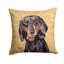 Dachshund Head Indoor/Outdoor Throw Pillow