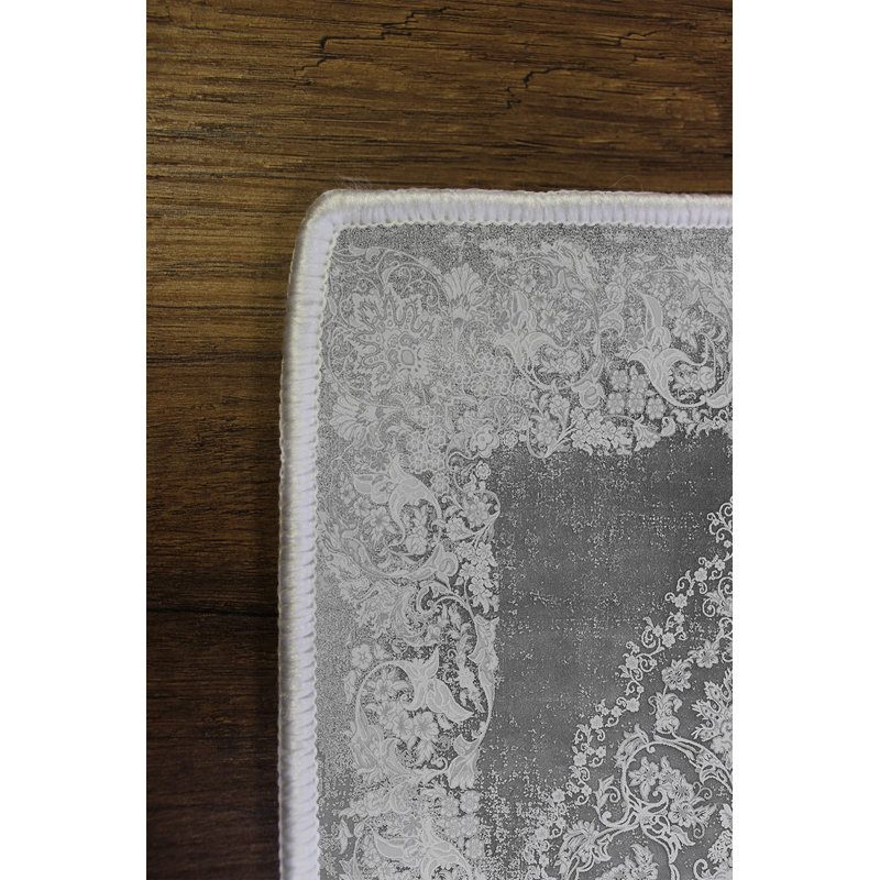 Tapis antibactérien de qualité supérieure, gris, 23,6 po x 39,4 po | 100% polyester, 650 gr / m², hauteur des poils de 0,16 po | Écologique, envers en PVC antidérapant, lavable à la machine | Parfait pour la décoration intérieure et les endroits très passants