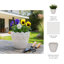 Pot à fleurs embossé en céramique pour l'extérieur et l'intérieur - Pot de fleurs élégant pour la décoration de salon ou de patio - 6 po, ivoire et brun clair-677261225