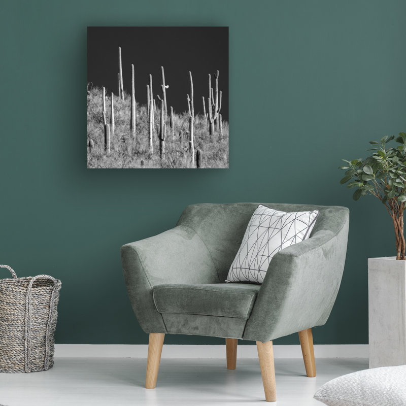 Art mural sur toile tendue - «Saguaro Hill» de Mitch Catanzaro pour décoration de salon, de chambre à coucher ou de bureau - 24 x 24