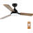 22.96'' Ceiling Fan with LED Lights