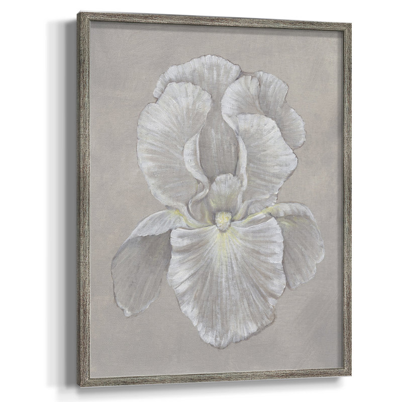 White Iris II Framed Print - Solid Wood, 11" H x 9" W