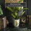 Ceramic Planter-2018868959