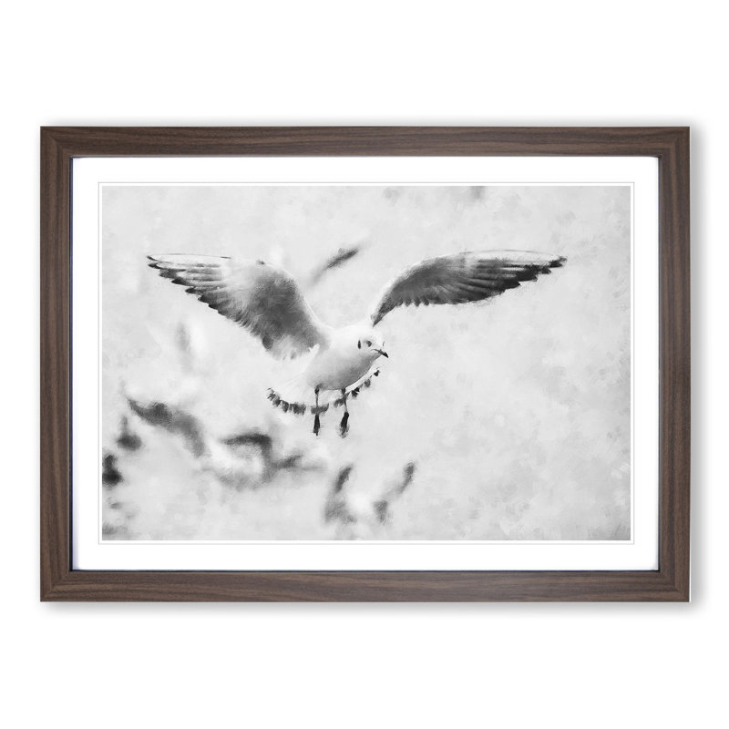 Seagull Birds - Picture Frame Graphic Art, Walnut Framed, 48cm H x 65cm W x 2cm D