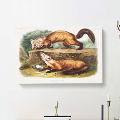 Pine Martens by J.W. Audubon - Wrapped Canvas