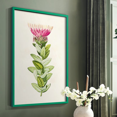 «Pretty Pink Botanicals IV», reproduction encadrée - bois massif
