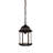 Pruitt Outdoor Hanging Lantern-26243306-26243310-26243313