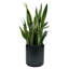 Pot à fleurs rond en fibre de verre-50086499-50086496