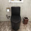 Toilette allongée 1 pièce à double chasse 1,1 / 1,6 GPF avec siège noir mat inclus