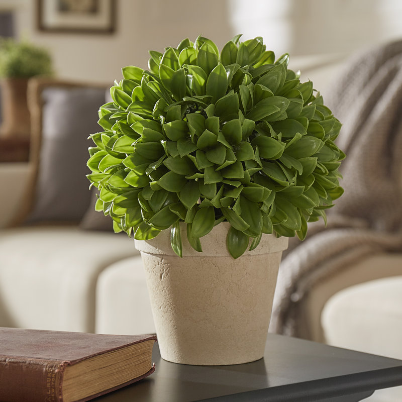Kinsley Foliage Topiary in Pot, 10" H x 8" W x 8" D