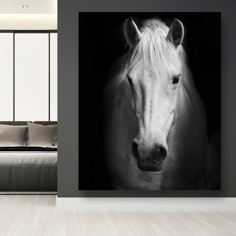 Cheval monochrome - Toile blanche pour animaux