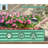 Metal Raised Garden Bed-2023745009-2023745001