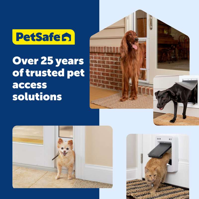 Porte pour chat PetSafe Microchip, blanc
