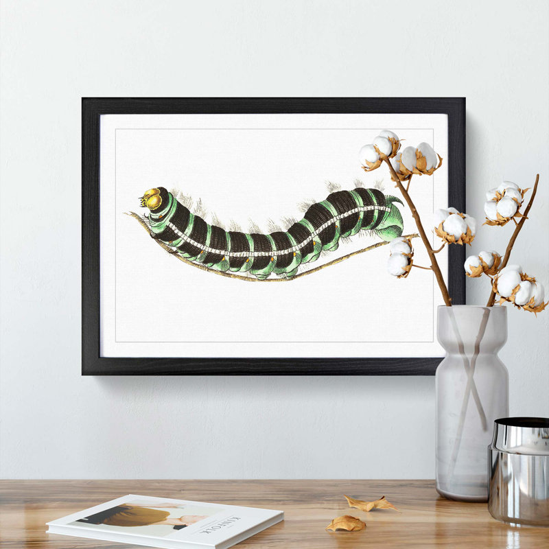 Illustration of a Green Caterpillar - Picture Frame Graphic Art Print, 27cm H x 36cm W x 2cm D, Black Framed