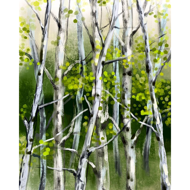 Reproduction d'affiche Wild Birch par Boho Hue Studio Boho Hue Studio (24 X 36) BHSRC051A