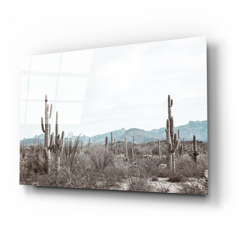  «Sonoran Wonderland» par Nathan Larson, art mural en verre acrylique, 36 po x 24 po, H 16 po x l 24 po x P 0,2 po