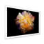 «Yellow Dark Fractal Flower», reproduction de cadre photo sur toile-856889609-856889612