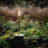 Portable Candle Lantern-1422668270