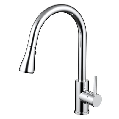 Daweier Pull Out Kitchen Faucet