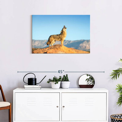 Brampt Howling Coyote