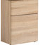 Hollice Writing Desk-14194050