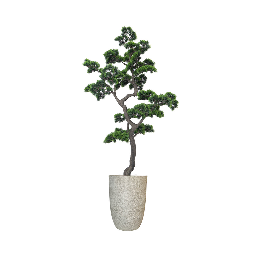 63" Artificial Faux Bonsai Tree In A Short White Fiberstone Planter Primrue