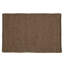 Wendy Jane Area Rug in Coconut-1082374179