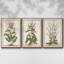 «Munting Botanicals I», ensemble de 3 reproductions encadrées sur toile-97708487-97708488