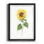 Tournesol II - imprimé-440758251-440758244