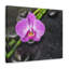 Wall Art on Canvas-1749073459
