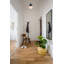Yearby Glass Semi Flush Mount-1200071962-1200071966-1200071939
