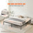 Tesfai 14'' Steel Platform Bed-867532885-823876195