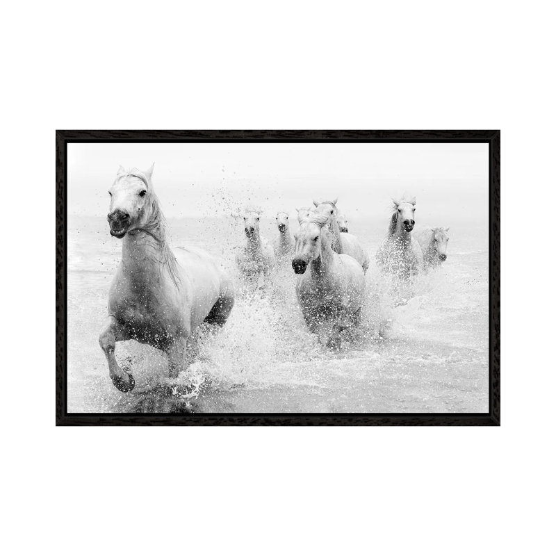 We Are Coming by Marketa Zvelebil - Print on Canvas, Black Floater Framed, 45.72cm H x 66.04cm W x 3.81cm D